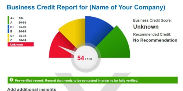 credit report Lendinero Credit solutions